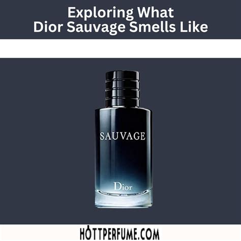 sauvage dior 2019|Dior Sauvage smells like.